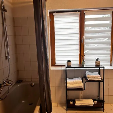 In Rheinfelden, Grenznaehe Und Blick Auf Schweiz 公寓