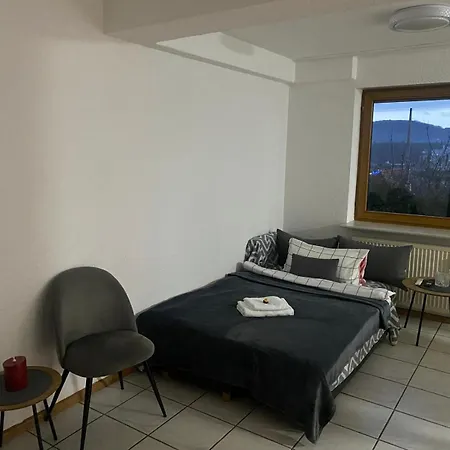 In Rheinfelden, Grenznaehe Und Blick Auf Schweiz 公寓 *